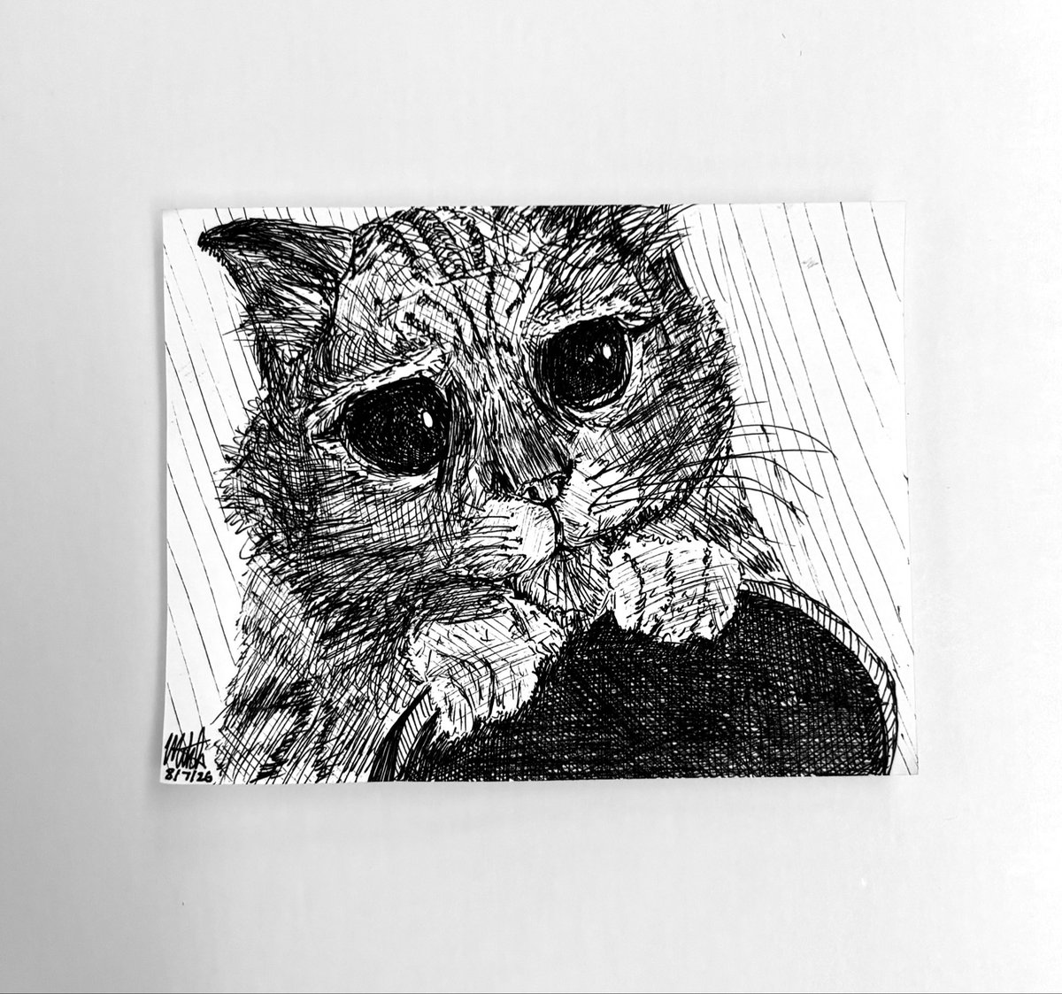 artplugg's tweet photo. puss in boots https://t.co/Zb5JZwrTjT