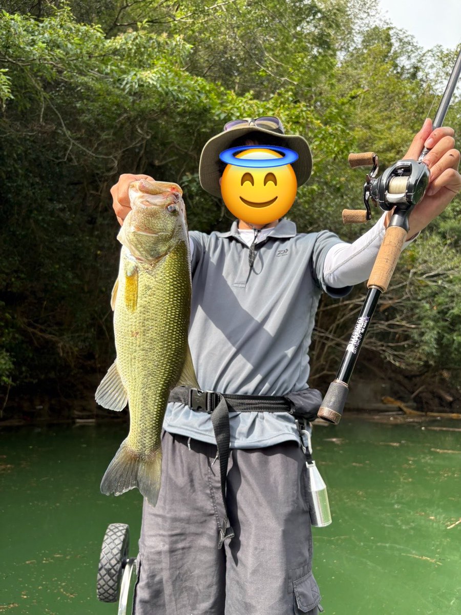 eevee_fishing's tweet photo. お盆始まりは愛媛でバス釣り
ブルズホッグダディ+14gフットボールで岩盤撃てば無限に釣れたので、これまで釣ったことのないルアーで釣る遊びにシフト
バスは口がデカいからワームサイズ上げても本体がデカくなるとは限らん……
ブルフラ5.8でバイト出た時は震えたけど結局40止まり…むずのしい…… https://t.co/g2BLx3PFrI
