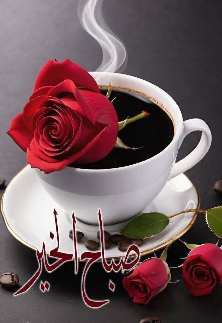 AnAlntah's tweet photo. @Fatmm85 https://t.co/PwxtdyYXaR