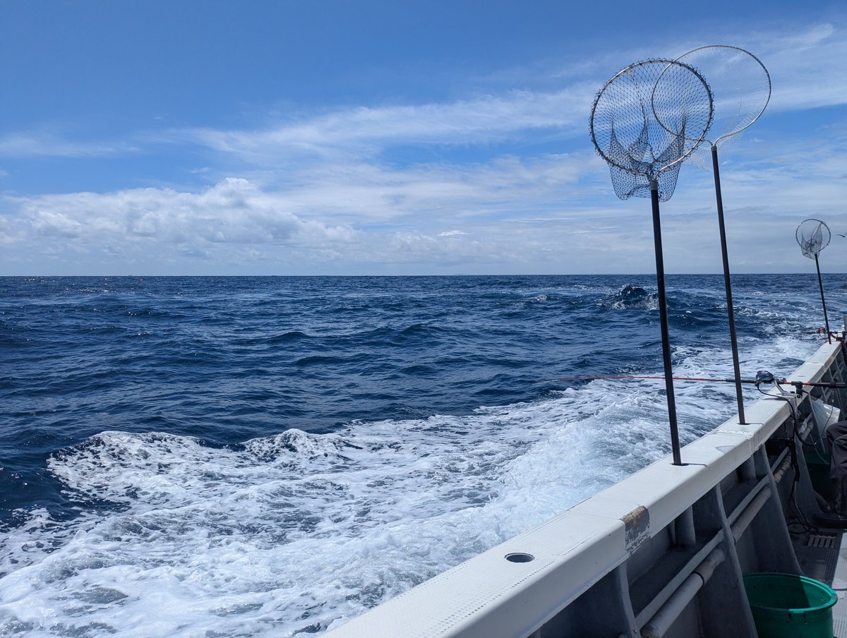 lxfish_hunter's tweet photo. 寒猫アカムツへ期待大で出陣！

するもまさに死海。生体反応なし。

チビムツ１ぴきのみ。船中撃沈。

どこいった、昨日の群れは。 https://t.co/HKyYk0ZhaD