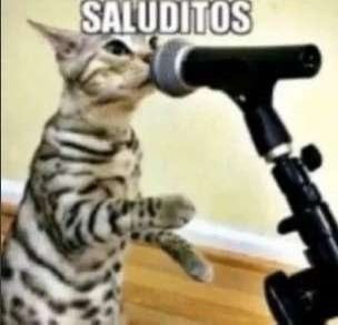 Ang3ll_St4r's tweet photo. Amo al gato que dice saluditos https://t.co/x1Z70dxae9