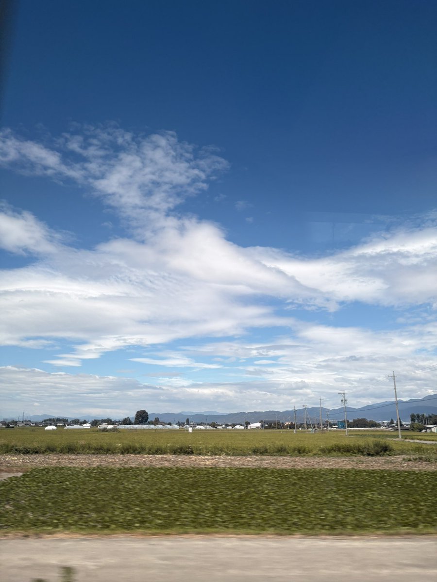 fm843_ed's tweet photo. 日曜13時 ある薔薇色の青春～南十字の星へ[再]【8/14放送分】
お盆休み🎐夏の喧騒を離れて、じっくり聴きたいリクエスト曲もあり〼
お楽しみに😊
FMえどがわは下記URLから聴けます↓
https://t.co/MxBiUqZMTb
協賛 ネッツトヨタ東都 #あるバラ🌹 #西城秀樹 https://t.co/aCY1mdbCjE