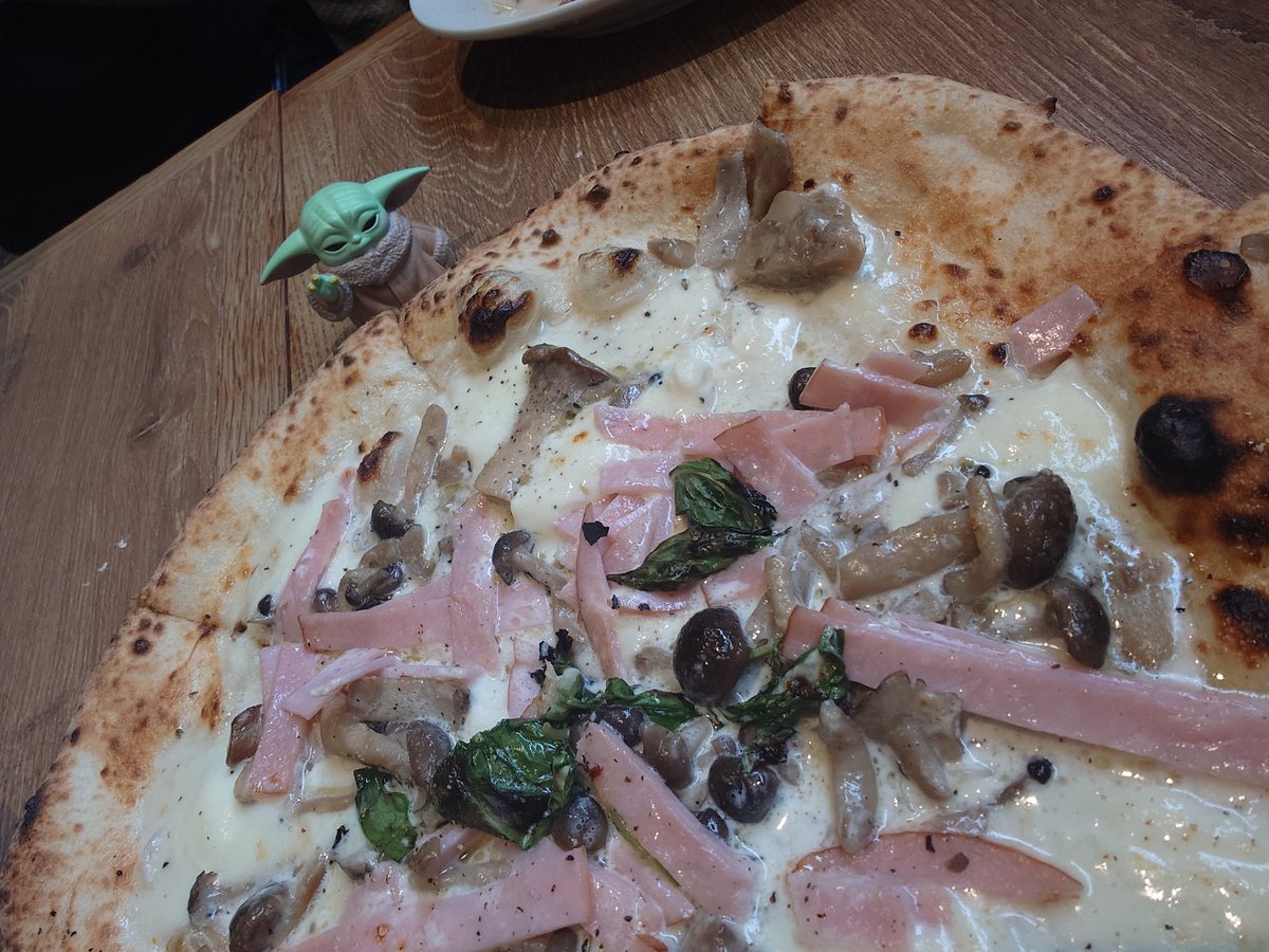 TOTTOuspp's tweet photo. 外で食べる時は絶対に連れていきたい可愛さ。 https://t.co/aYaINuIGtq