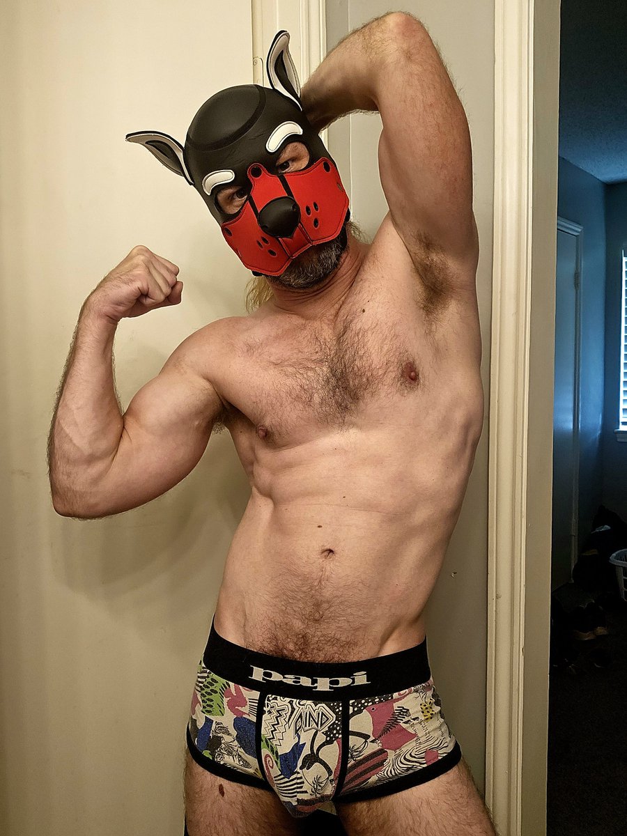 knot_pup's tweet photo. Went to the gym, lifted the heavy things. https://t.co/qoi21LhJq8