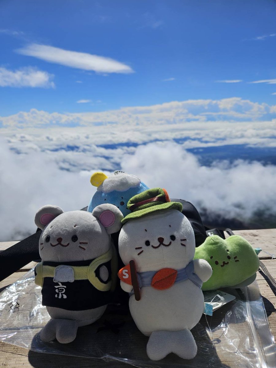 etokintore's tweet photo. 富士山に登りましたキュ🦭 https://t.co/IeizLpO1wj