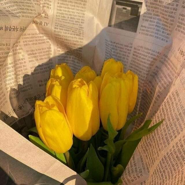 sunflowerchives's tweet photo. Yellow flowers https://t.co/6oMiMxjx8S