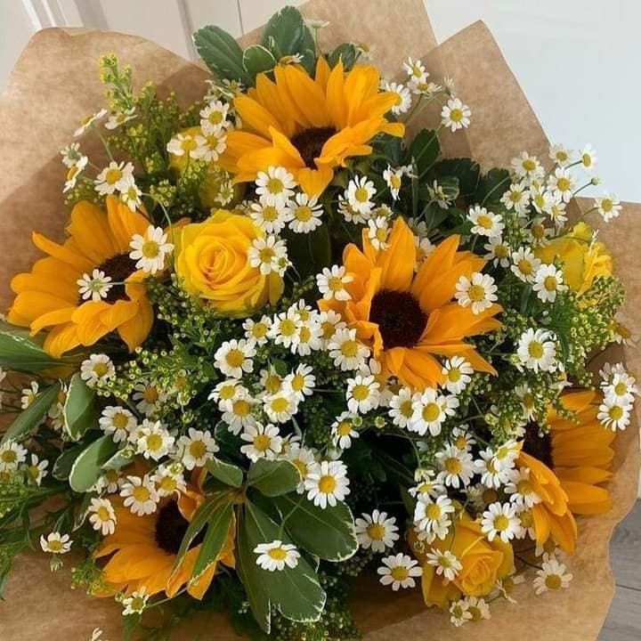 sunflowerchives's tweet photo. Yellow flowers https://t.co/6oMiMxjx8S