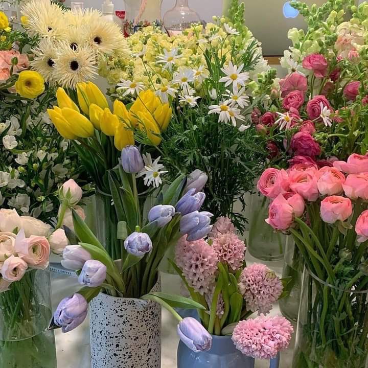 sunflowerchives's tweet photo. Flowers makes me happy https://t.co/AOI4ofMGab