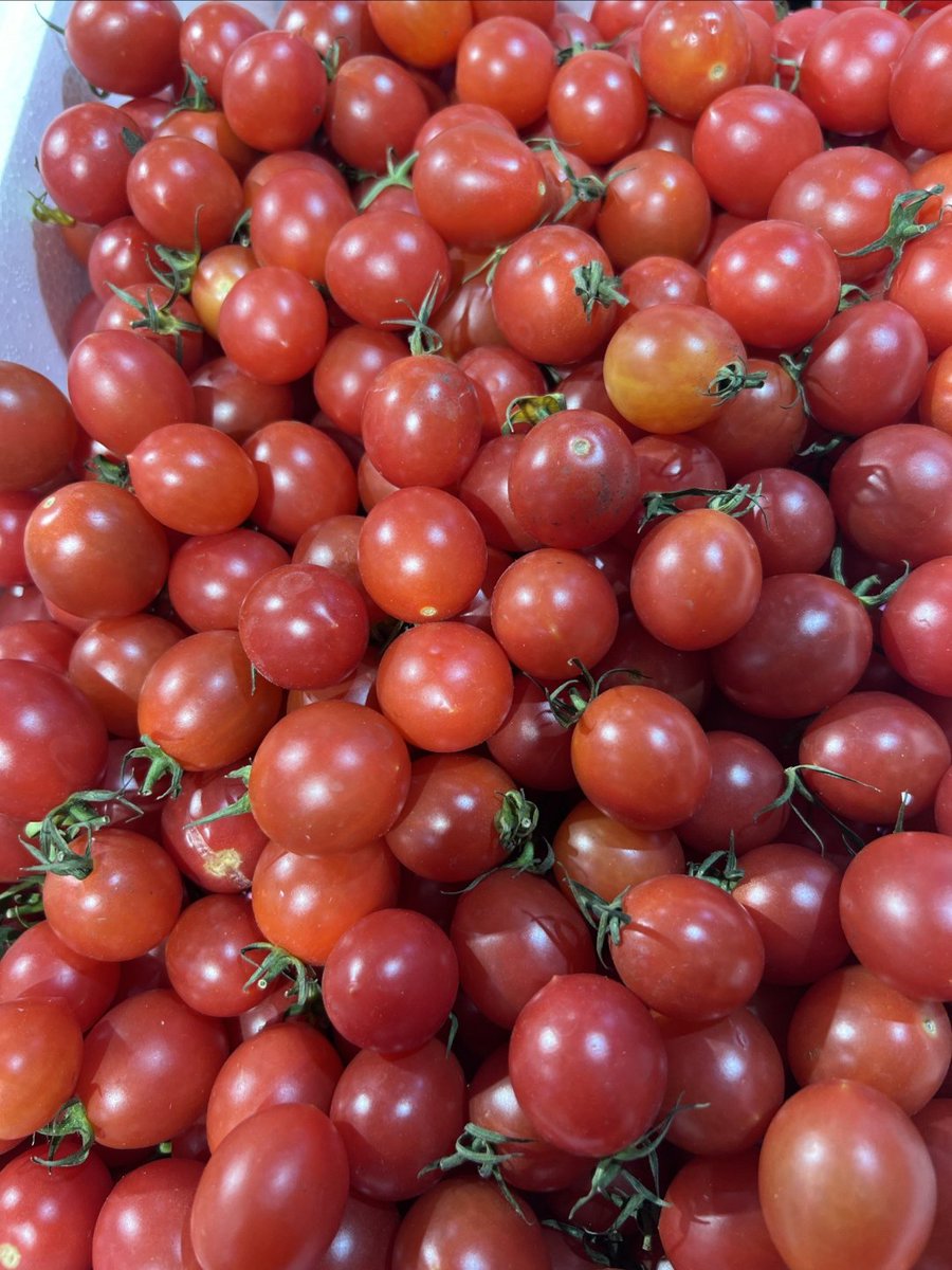 JrRobertofer's tweet photo. Fresh organic spinach and cherry tomatoes restock at our local farmers’ market! Perfect for tonight’s quick healthy salad. Don’t miss them before noon! https://t.co/txxEbUHG7I