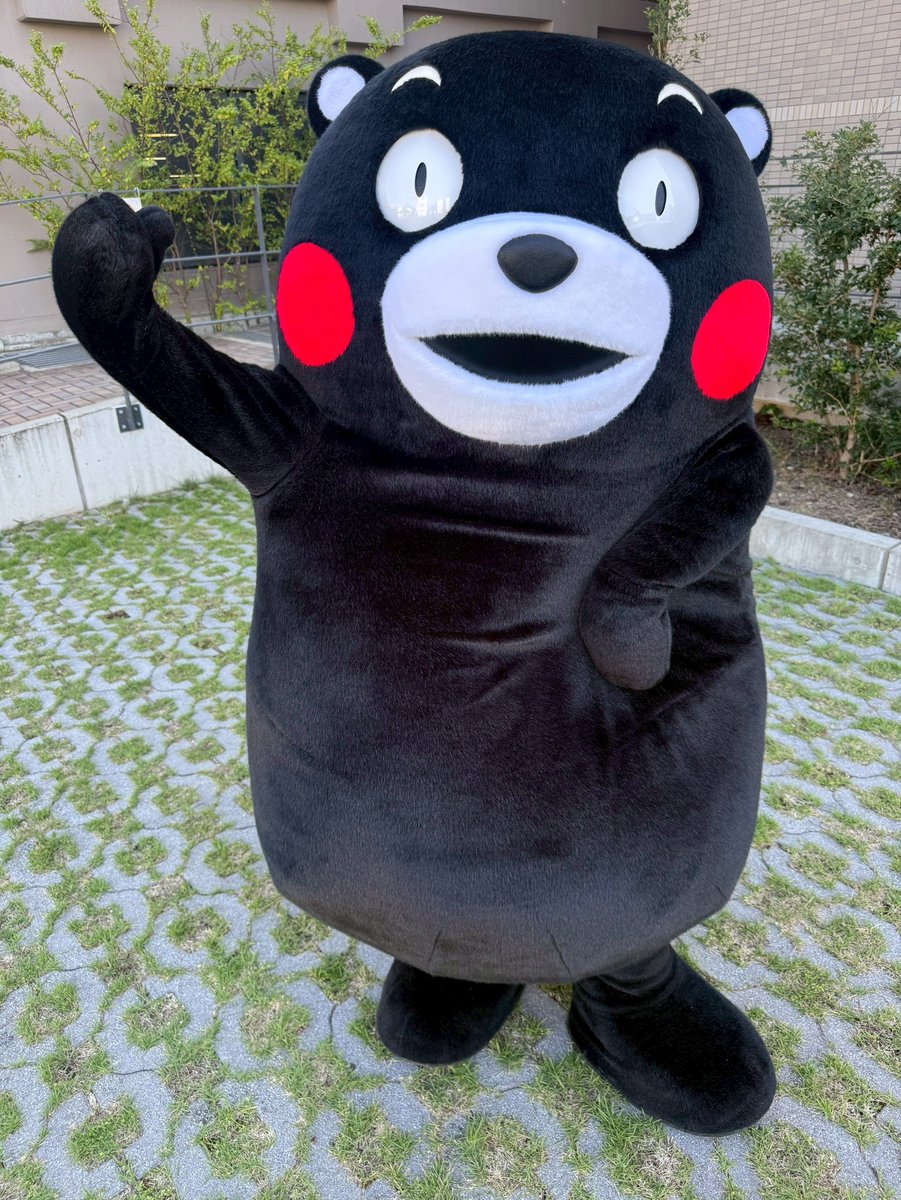 55_kumamon's tweet photo. おはくま！たくさんの心温まる応援メッセージ、本当にありがとうございますだモン。みなさんの気持ち、しっかりと熊本に届いているモン！不安な日々を過ごしている熊本のみなさん、力を合わせて一緒に乗り越えていくモン！ https://t.co/u3kbz0CBDQ