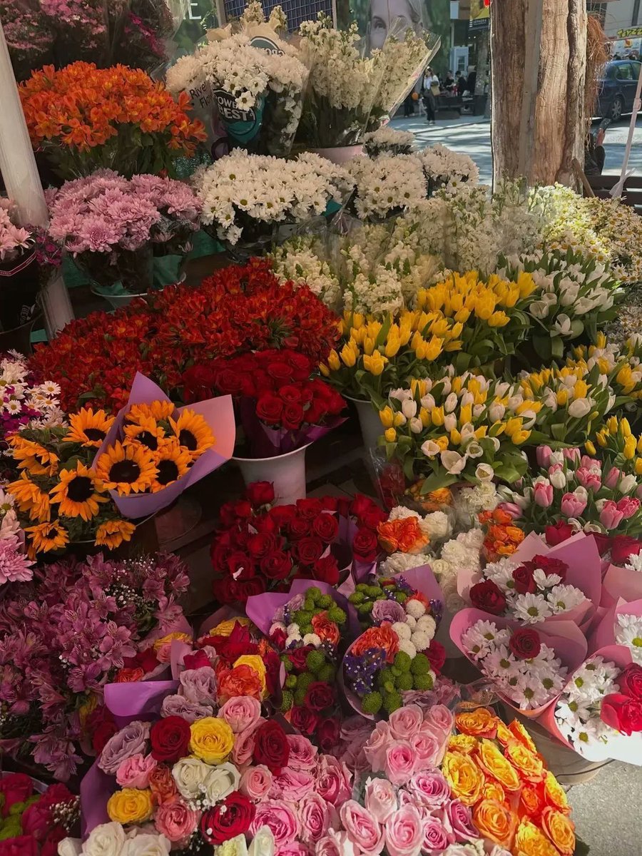 sunflowerchives's tweet photo. My happiness https://t.co/no11z2ptzN