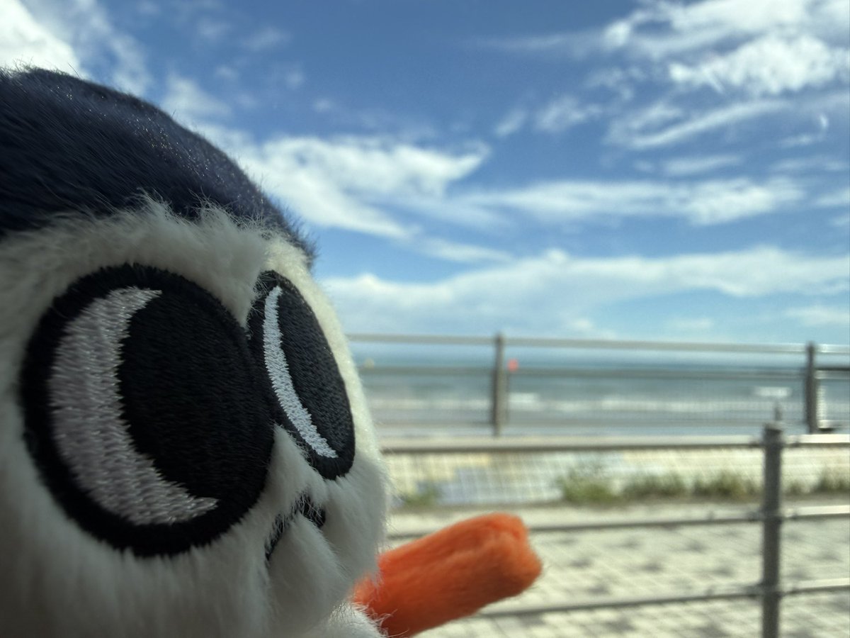 aiko420's tweet photo. MOODIと江ノ島
#MOODI #무디 https://t.co/jfHkolqA5Z