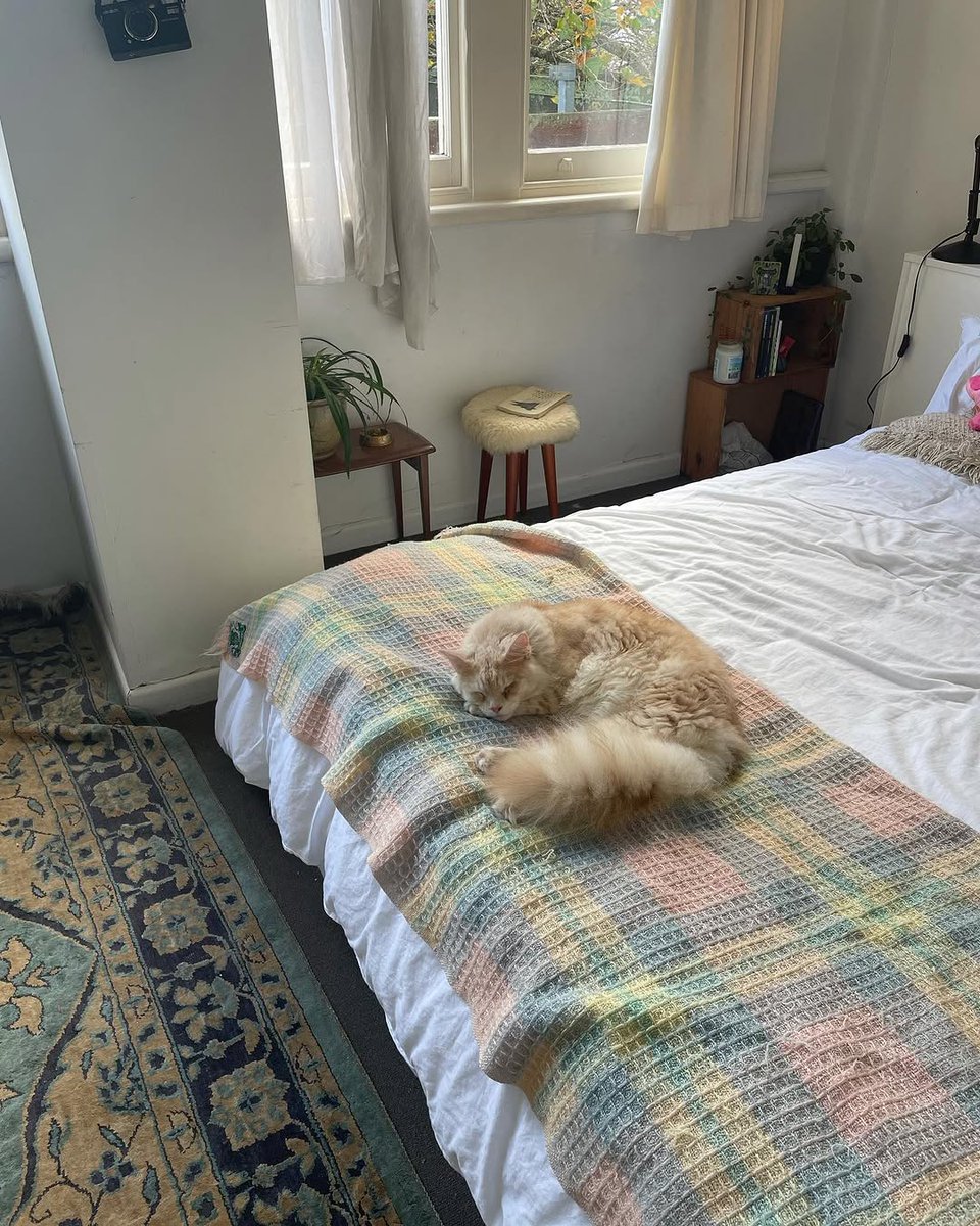 maddii_sutton's tweet photo. 🐱🌧🧤 https://t.co/zrsqMR6yA8