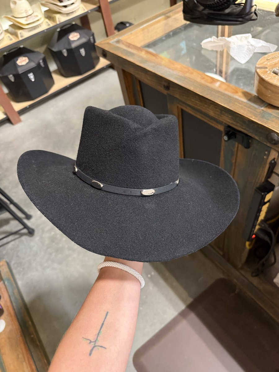 katsbabess's tweet photo. Oh yeah, did I mention a shape hats 😍 https://t.co/PB1RJeb8bS