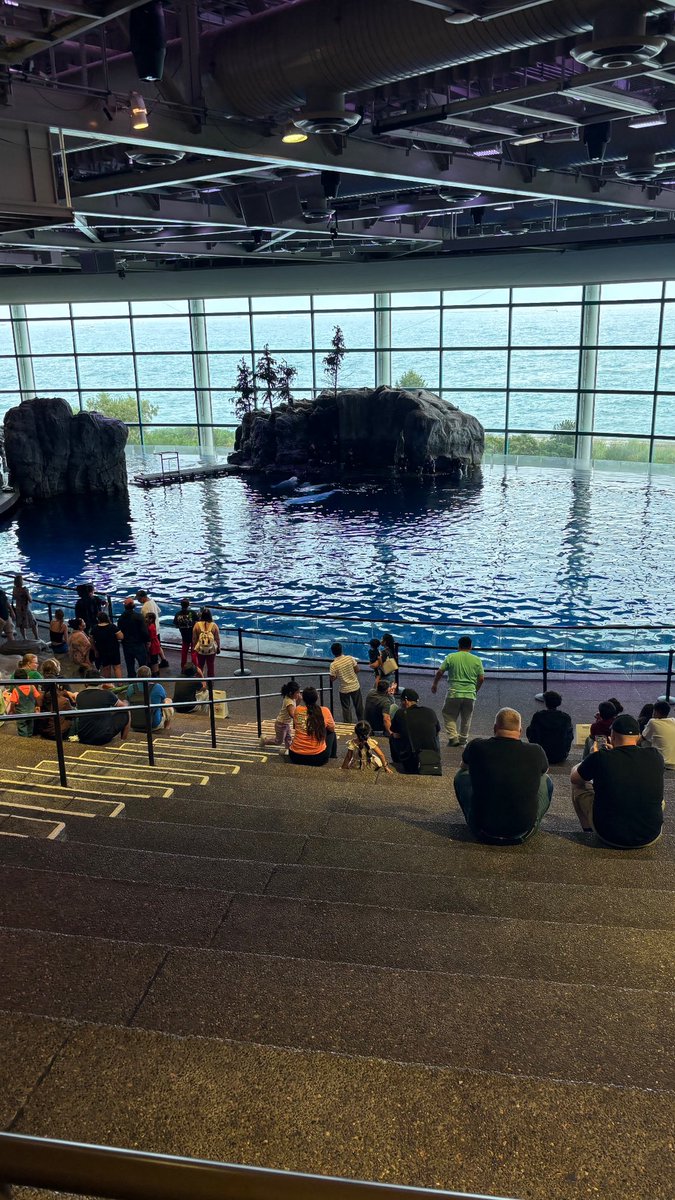 Elasha0's tweet photo. fun day w the family 🐳 https://t.co/FefMBgUoXA