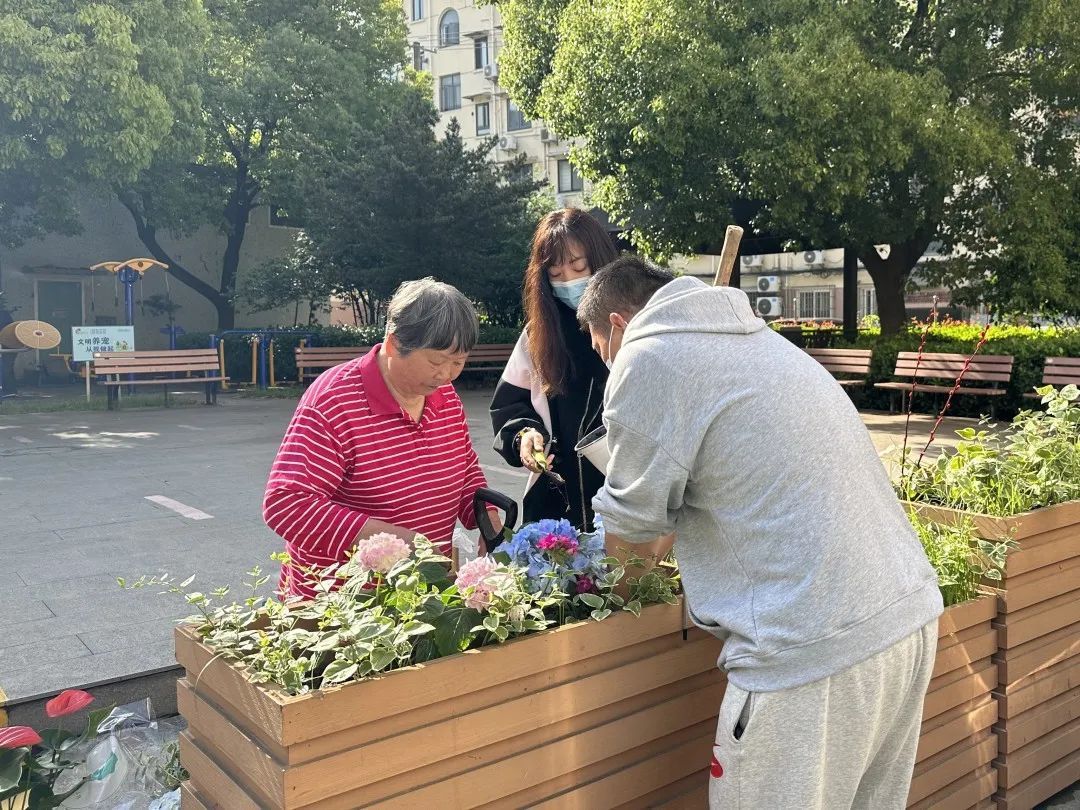 AlraqeEmad's tweet photo. Join our neighborhood plant swap this Saturday (10am-12pm) at Central Park! Bring your extra plants, take new ones, and chat with fellow green thumbs—free for all! https://t.co/yO2vmfAi8t