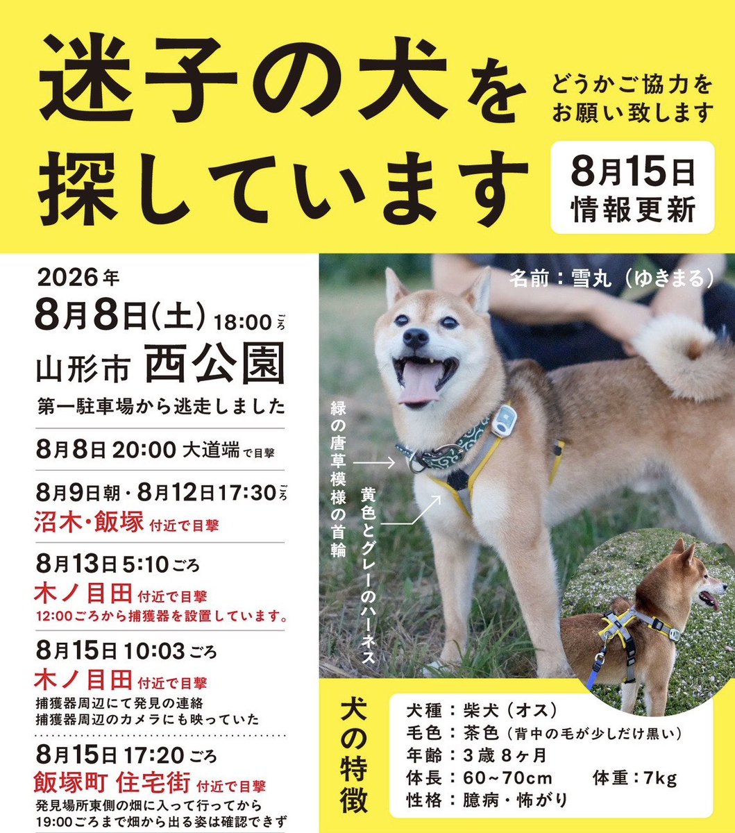 privateeye_pet's tweet photo. 【迷子犬を探しています‼️】

山形県山形市大字門伝にて

8月8日から行方不明になりました💦

目撃した方はリプライやDMをいただけますと幸いです🙇‍♂️

#迷子犬 #犬 #迷い犬 #山形県 #山形市 #拡散希望 #迷子ペットを守りたい https://t.co/yExV2cKA5t