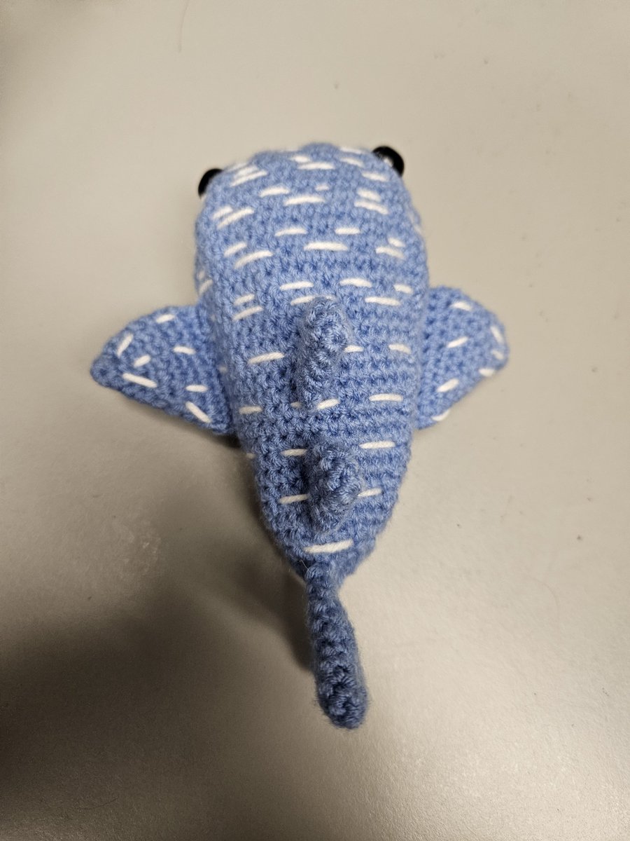 SleepySolo2's tweet photo. Latest finished project and personally my all time favorite. He's my lil emotional support shork now.

https://t.co/wz2dtk1y1Y https://t.co/XUAHiIUle3