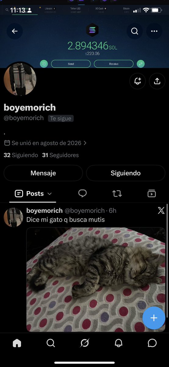 fazefd9r's tweet photo. @1mtherealshady @scavarr Aquí esta su otra cuenta de twitter por si te sigue acosando https://t.co/hraHyxRtF7