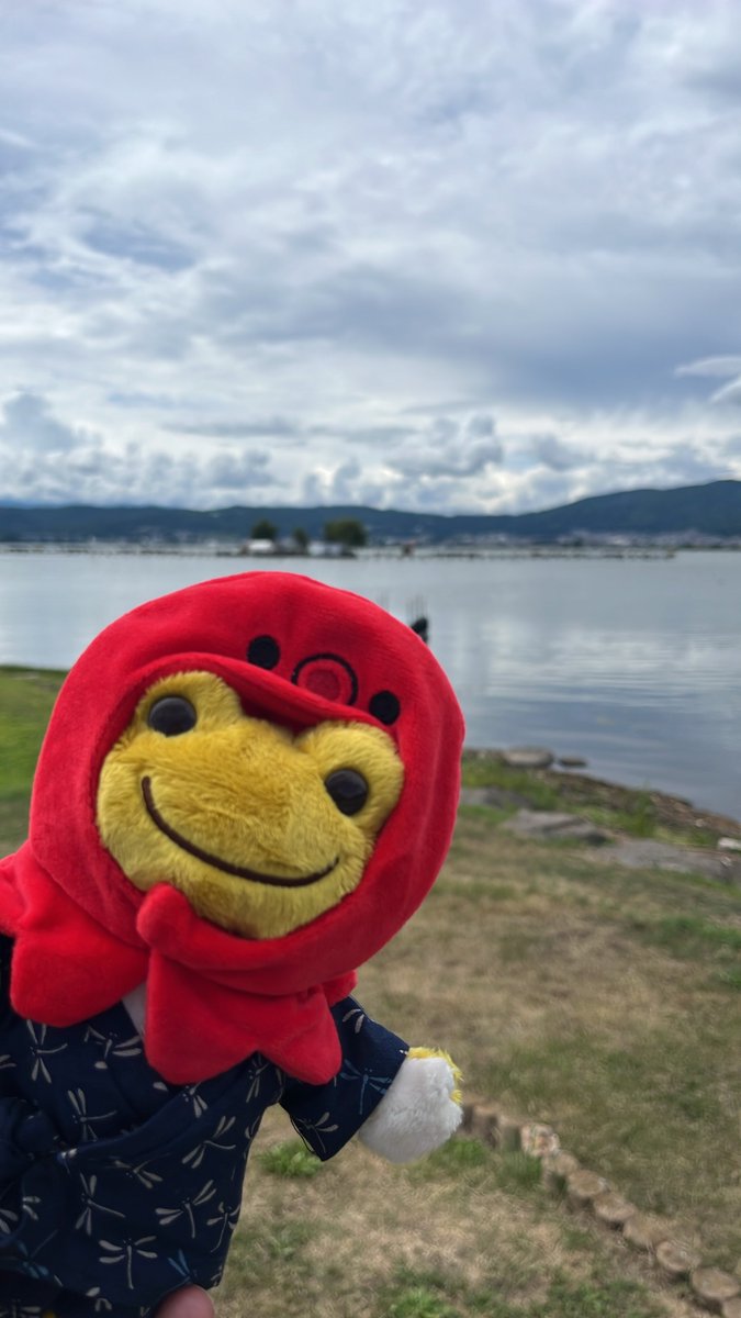 tripickles's tweet photo. アペルココル『Apple cocoru』で
お迎えるして貰った【ココル】ケロ！

ラムネ様と共に旅するケロね！

仲良くしてケロ〜 https://t.co/tEAl5tTaMh