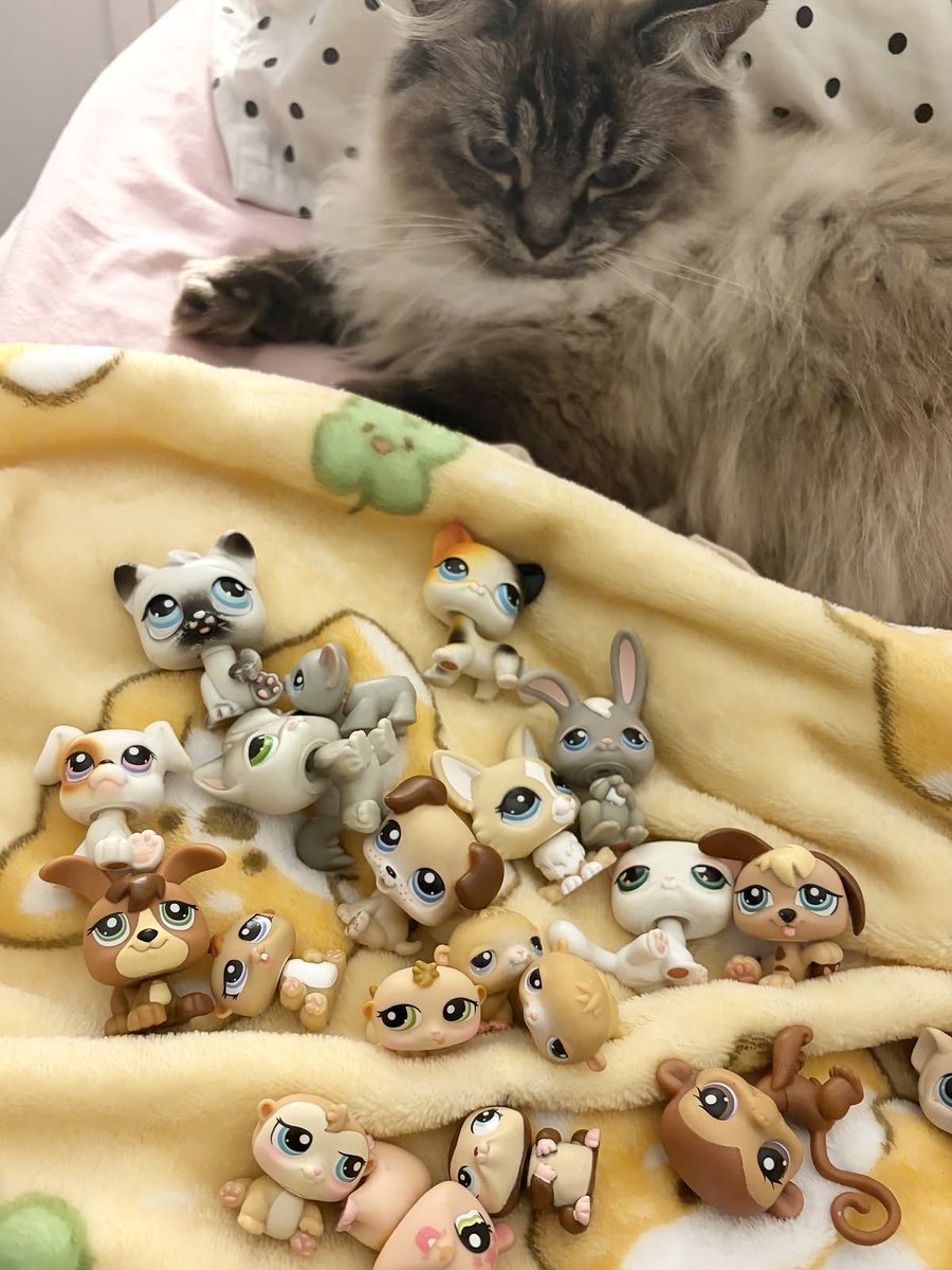 trinkyswinky's tweet photo. https://t.co/xqrWgbnzeM