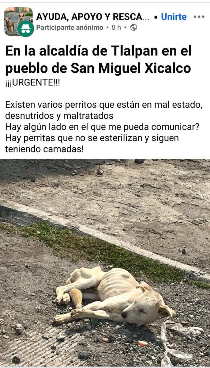 LicAnimalista tweet picture