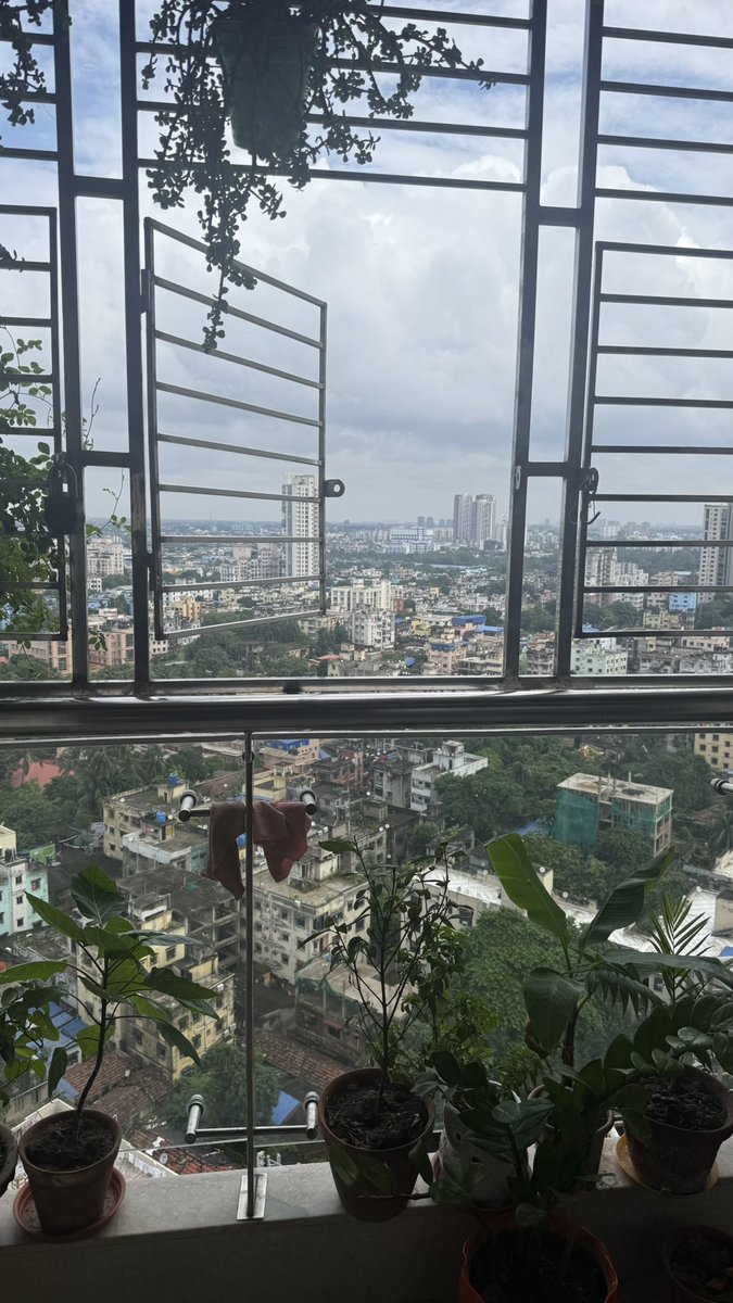 Ronaldofied's tweet photo. Morning coffee with a view! 💚 https://t.co/3hwcVFfM2w