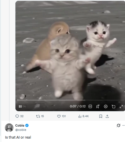 MMakub17538's tweet photo. @cobie Replied To  kitty 
Is that AI or real $meow https://t.co/tXm0lVf2Wu
