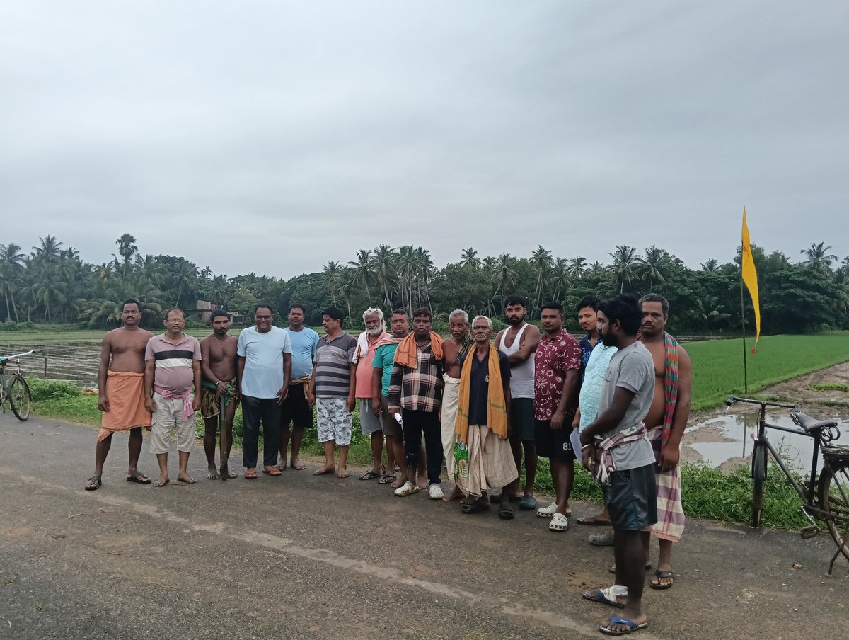 ParidaSudeshna's tweet photo. Transplanting Started for Amrutta Anna Yojana for Sri Mandira https://t.co/afuzi9Ngsy