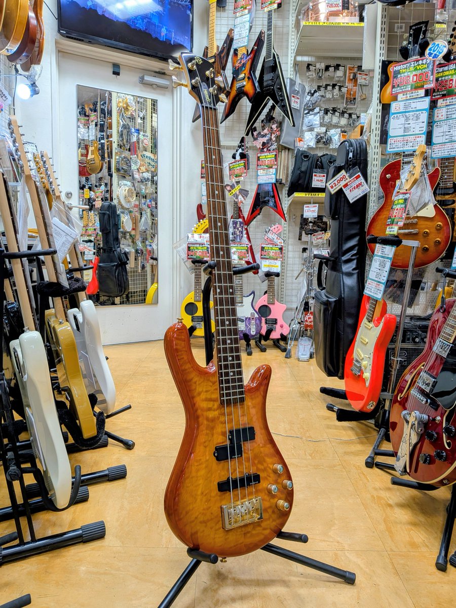 utsubo0021's tweet photo. 抜群のフィット感!
Spector Legend 4が入荷。
キルトトップが美しいカーブドボディにEMG-HZを搭載。
2軸アクティブEQ完備で、手元から激太トーンもスラップ用ドンシャリも直感コントロール!
ライブで威力を発揮する頼もしいヤツです!
#Spector #ベース #うつぼ楽器 https://t.co/r8muLkbZMA