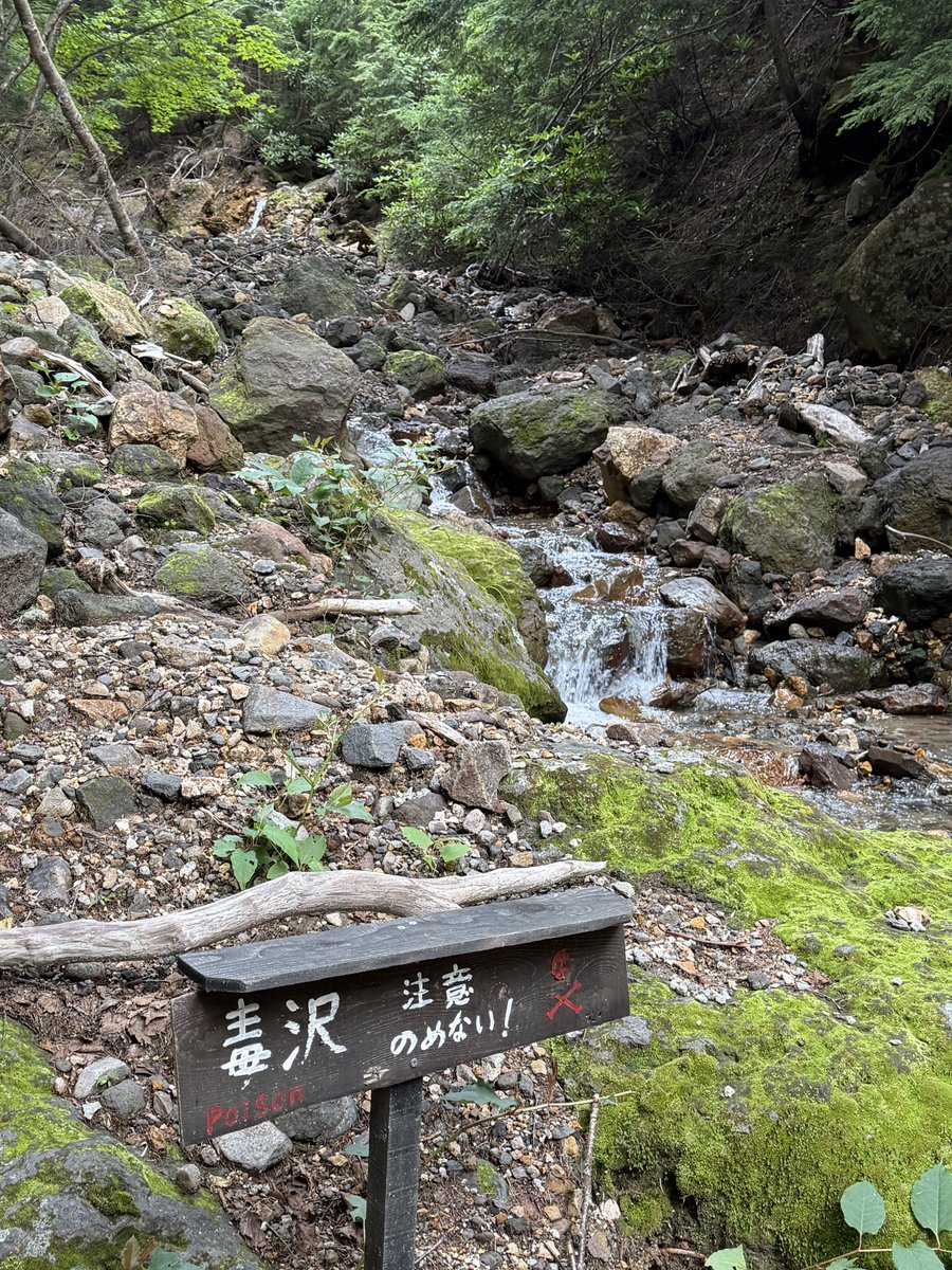 hinode20220101's tweet photo. 行ってきた！
湯温高めだったけど景色も気温も気持ち良かった♨️ https://t.co/HLmlSyokyB