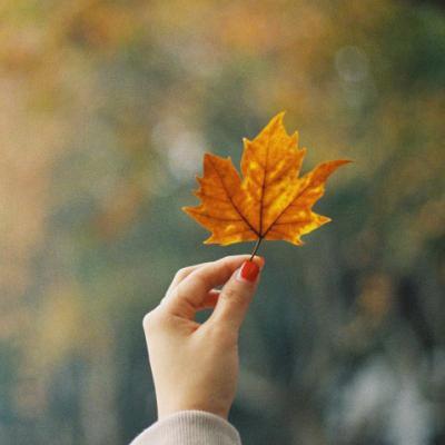 FFajar32610's tweet photo. A world rich in gender diversity is a world rich in courage and authenticity. Let’s celebrate every identity.  GenderDiversity Unity 🌺 🍀 https://t.co/PdJX94kcJ3
