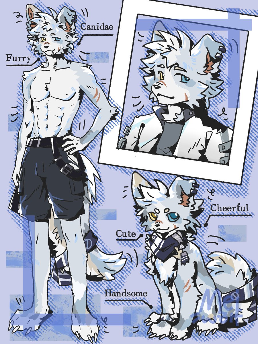 Meiwolf333's tweet photo. 萌狗！
#furryart #furry #furryartist #anthro #digitalart #art #fursona #furryfandom #furryoc #illustration #兽人 #兽设 #OC https://t.co/HEE5qVyTgo