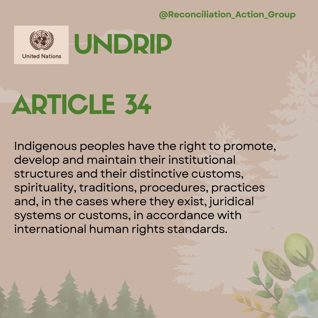 ReconciliACTgr's tweet photo. Sharing each Article from The United Nations Declaration on The Rights of Indigenous Peoples
UNDRIP Article 34
#UNDRIP #HumanRights #Indigenous #Canada https://t.co/bs7EKi9WDm