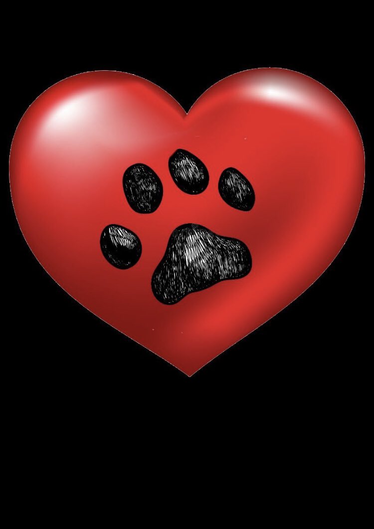 chloepaww's tweet photo. Come join us ❤️🪢
Link on my bio…
#dogs #AUSummits2026 https://t.co/BsoQdzTts0