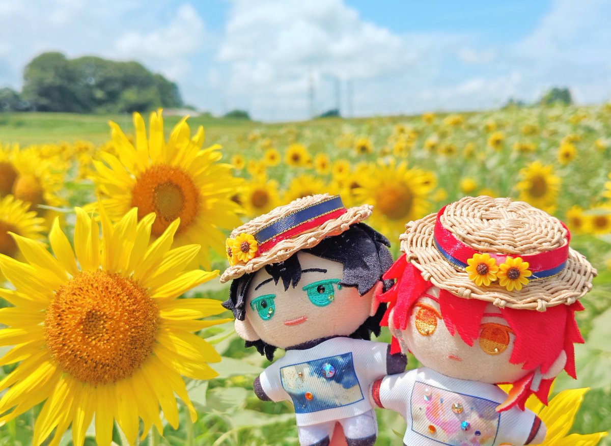 🌻ひまわりと⛰️🏹ぬい🌻