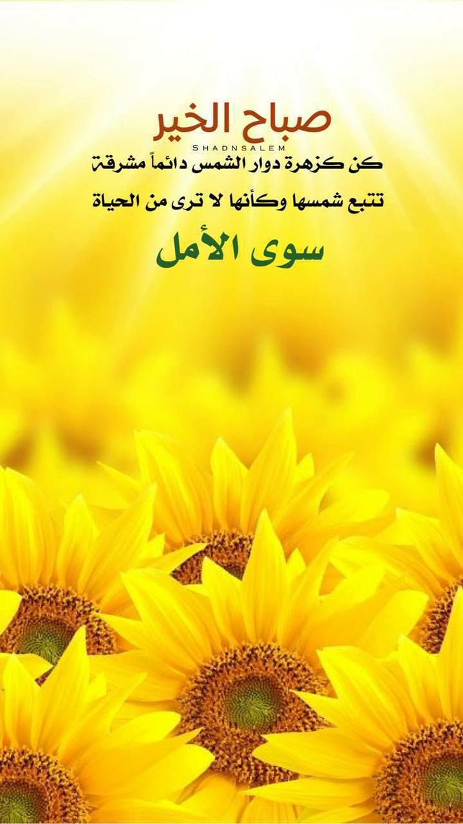 SuhailAlameri72 tweet picture