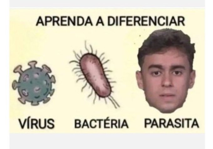 RapazdoCharuto's tweet photo. @nikolas_dm NÃO APRESENTOU UMA PROPOSTA NO VÍDEO INTEIRO... É só ataques ao presidente e pauta moral, projeto de país que é bom, NADA! https://t.co/CabmNoSCQw