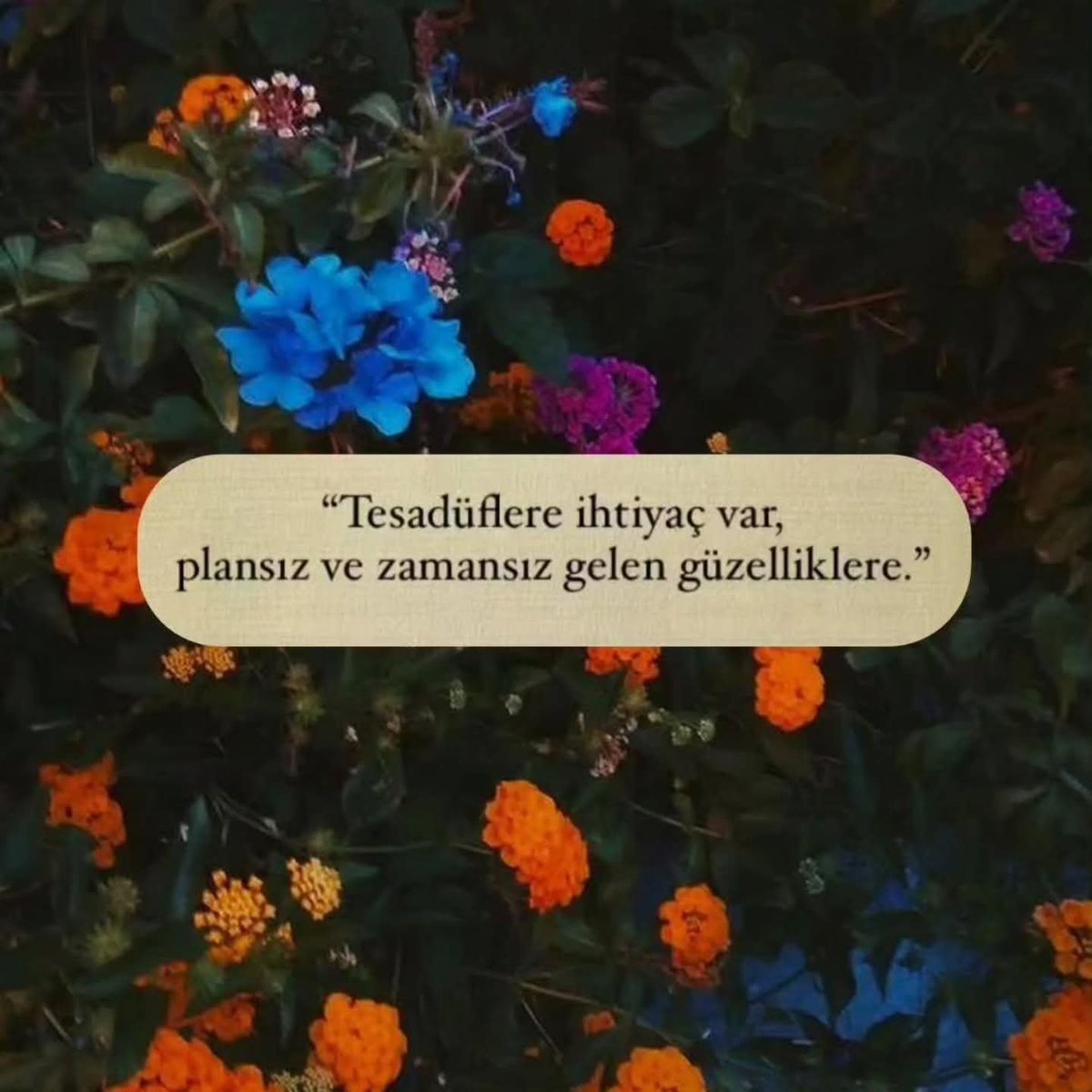 _Nekre's tweet photo. https://t.co/vPiI831jYM
