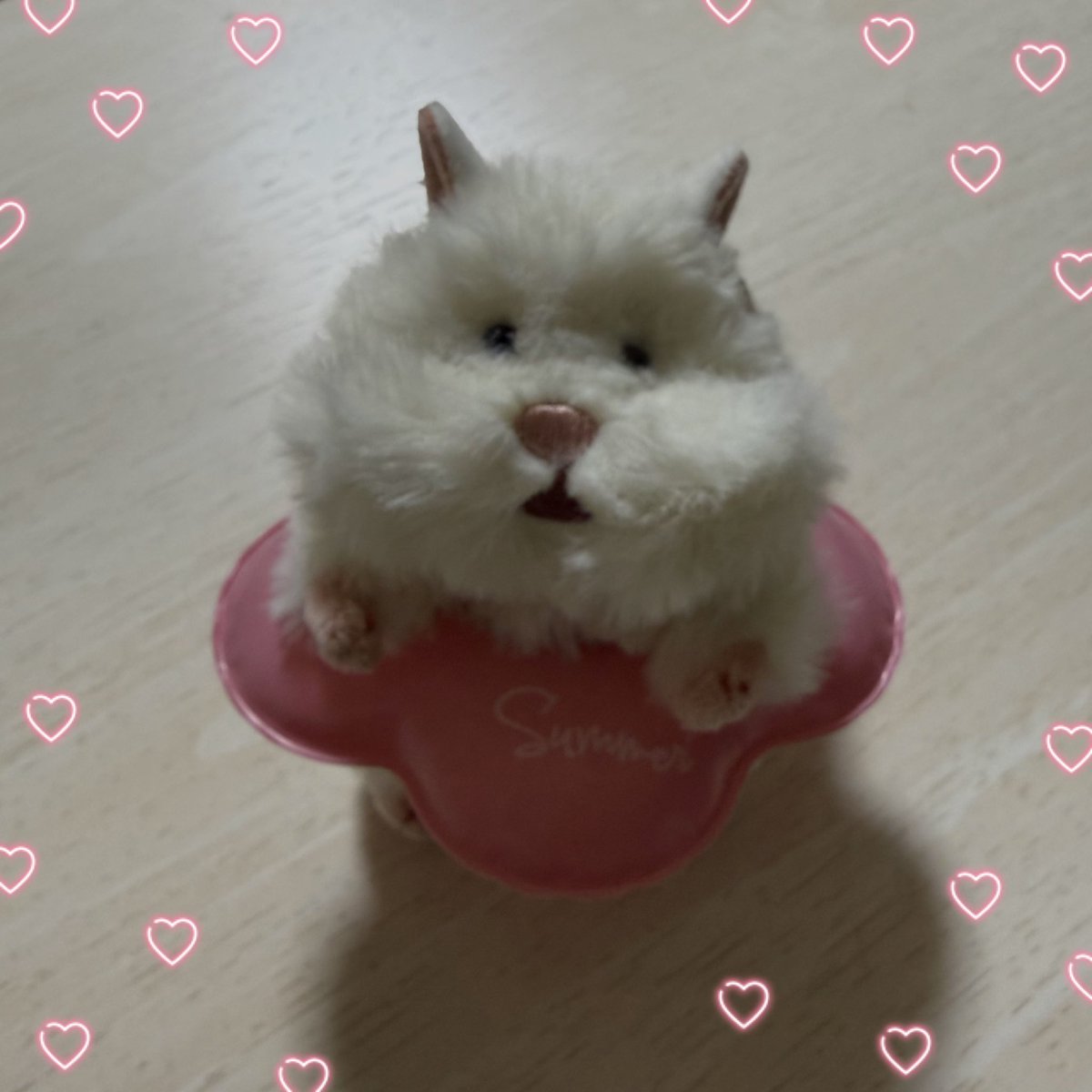 pappun_pu's tweet photo. 大雑把O型による自作おでかけハーネス🪡

スタイ付けても可愛いねぇ🥰
この虚無顔どうよ🥸

#はむにぎり
#りぶはあと https://t.co/QIXXPIUTU5