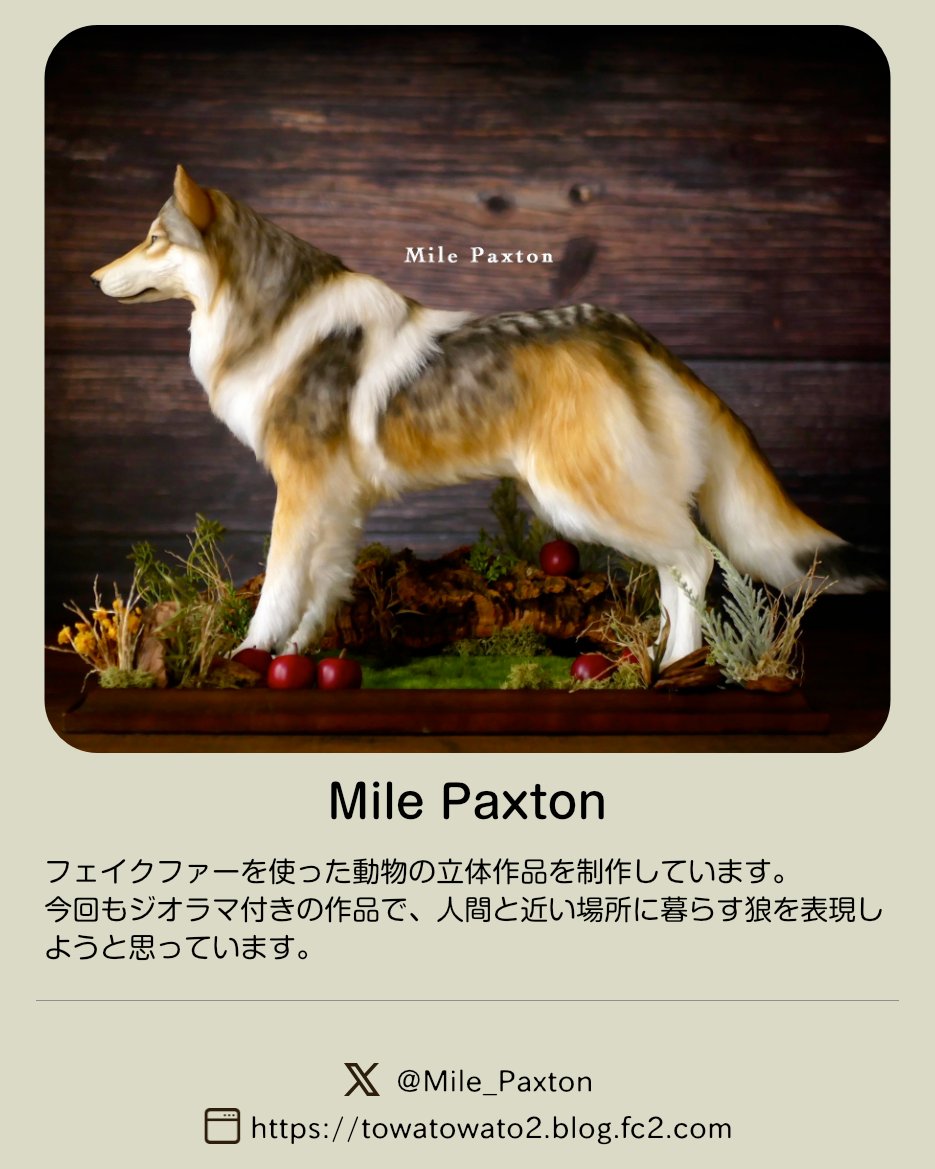 natsumehiro's tweet photo. 第115回ナツメヒロ企画展『オオカミ展2026』参加作家さんのご紹介です

🐺｜Mile Paxton｜ @Mile_Paxton 

📍場所：ハイカラ雑貨店ナツメヒロ（神奈川県相模原市）
📅会期：9月12日(土) 〜 10月11日(日)
#オオカミ展 https://t.co/JfVO3drFFE