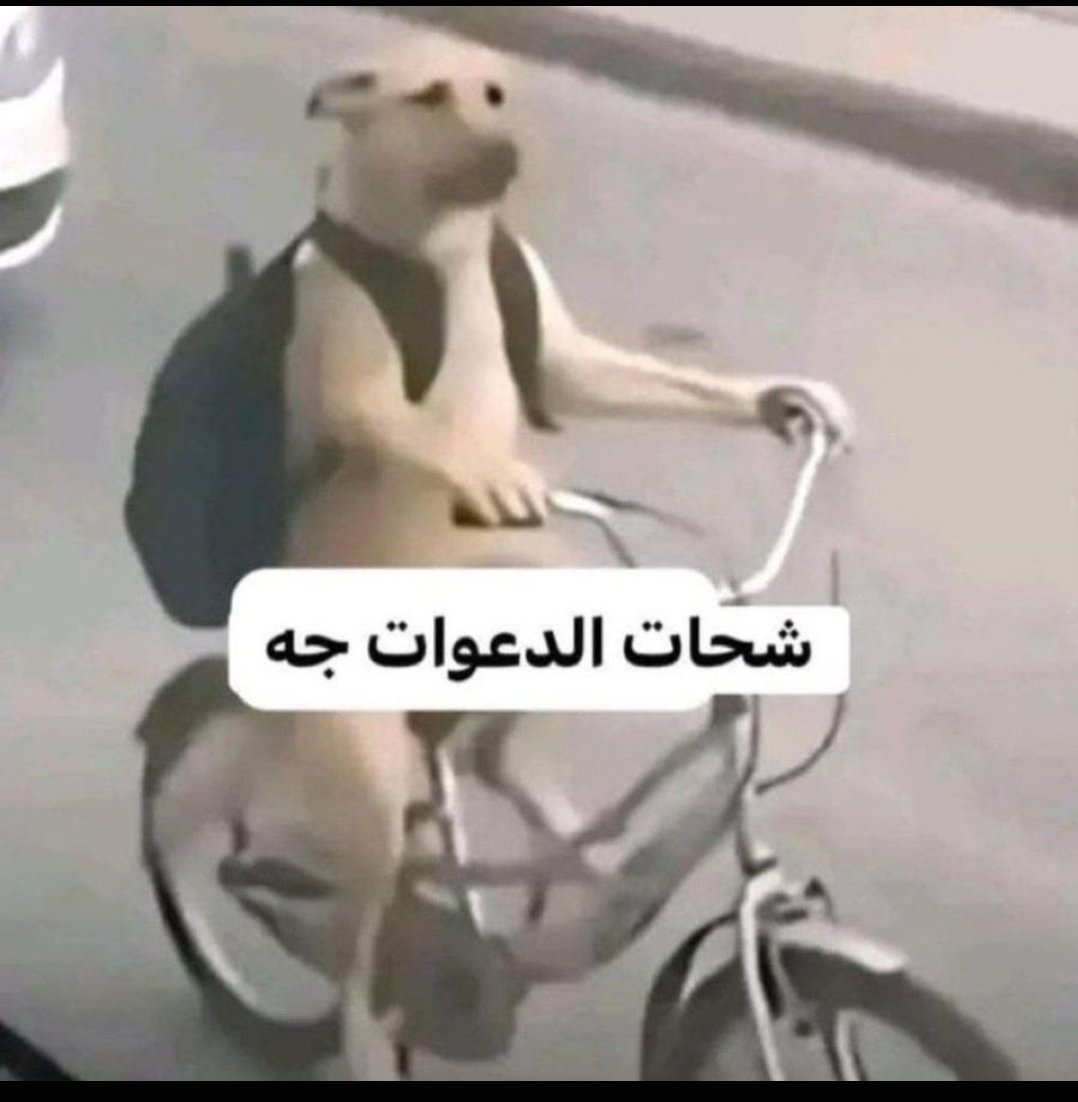 ill87h's tweet photo. اخويا راح المدينه وجالسة اتشحتو يدعيلي
ليش لازم اتكلم المفروض تكون عادة عند اي شخص يدعي لأهلو اي احد يدون محد يتشحت هوف https://t.co/HOypSP2d4k