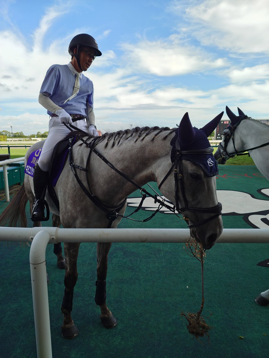 nabechaaansan's tweet photo. 名古屋の思い出③
フィオレストラーダ
誘導馬
ナムラミラクル
キミコソシャチョウ https://t.co/Z0xoD5taFs