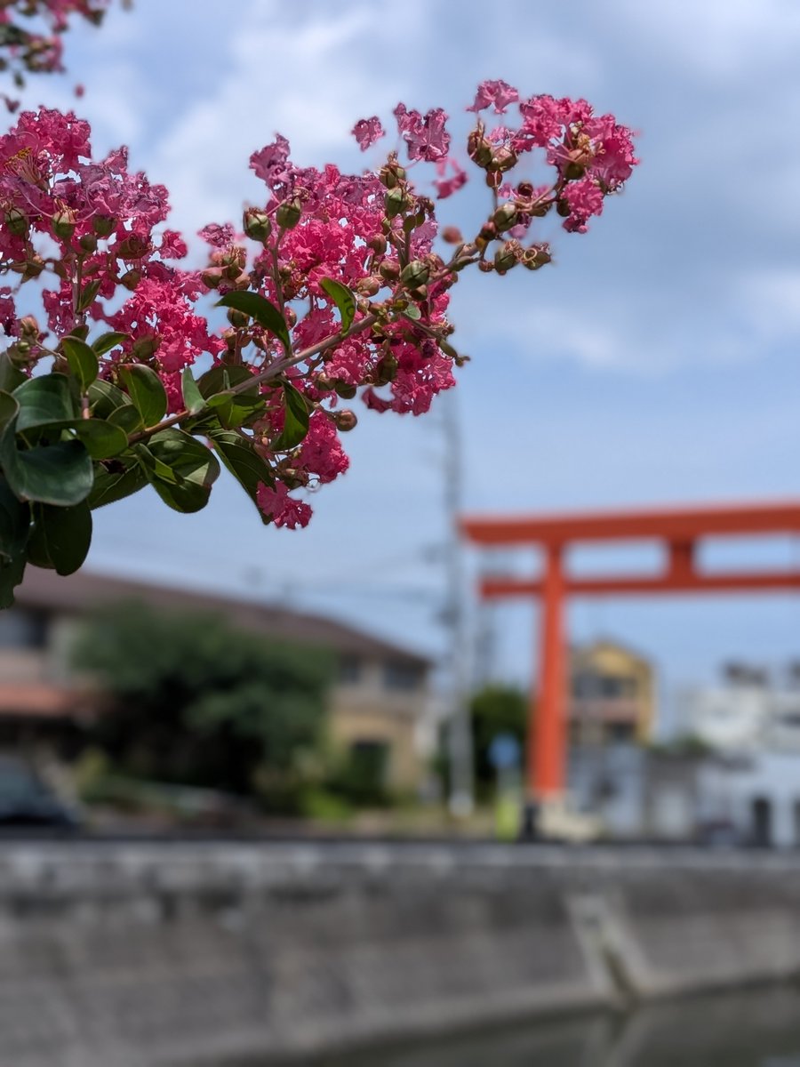 9geOiVeQBJU5xhL's tweet photo. 盂蘭盆会

地獄の蓋が開き

餓鬼道
お釈迦様の弟子
(日蓮尊者)
逆さ吊りになった母親を助ける為
供養を行う

お盆期間河川に入らない
引き込まれます
(浮遊霊、亡者)

極楽浄土はお盆は
お釈迦様に感謝しお盆らしく
地獄がお盆

怖い😨ですね～

遅番勤務多忙 https://t.co/lyRM2nzDXs