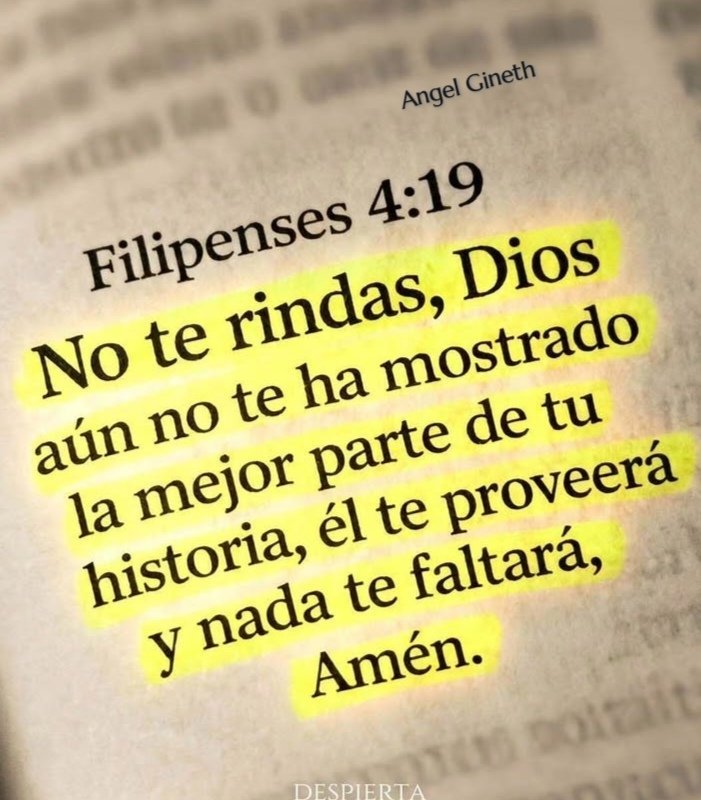 Biblia_Linea's tweet photo. https://t.co/psIbMnJiD4