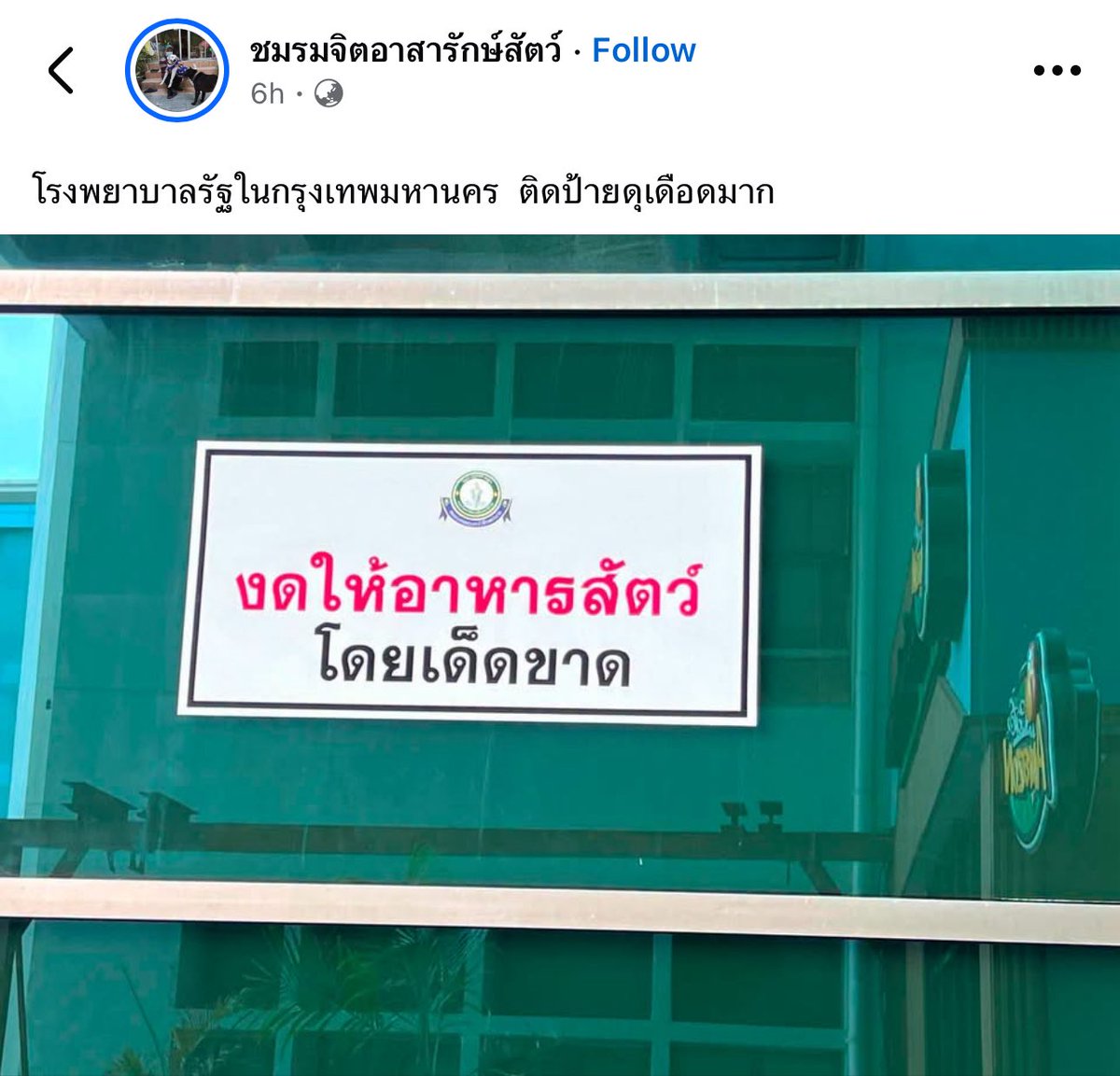 sunnflowergirl's tweet photo. แต่ในโรงพยาบาลมันเป็นพื้นที่ปลอดเชื้ออะ พวกขี้หมา เห็บ หมัด หรืออื่นๆ ที่มีเชื้อโรค มันก็อันตรายกับผู้ป่วยภูมิต่ำนะ ไม่นับเรื่องหมาดุ ไล่งับคนไข้อีก https://t.co/iphgRLgyM4