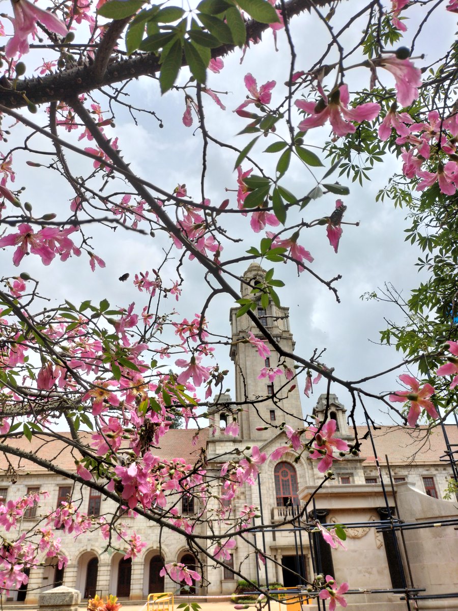 iiscbangalore's tweet photo. Silk floss filter 

📷: Bitasta Das

#IIScframes https://t.co/mOQxi78gsf