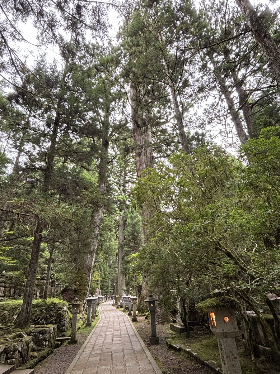 clxvec's tweet photo. 高野山では奥の院へ 杉並木の厳かな雰囲気の参道を歩く https://t.co/jh3aUfDotj