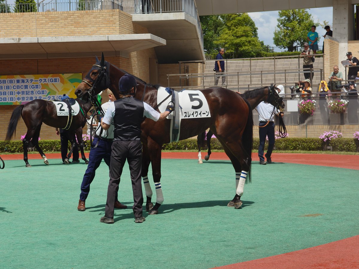 nabechaaansan's tweet photo. 名古屋の思い出
中京競馬場
スレイクイーン https://t.co/PhSvAtwfTG
