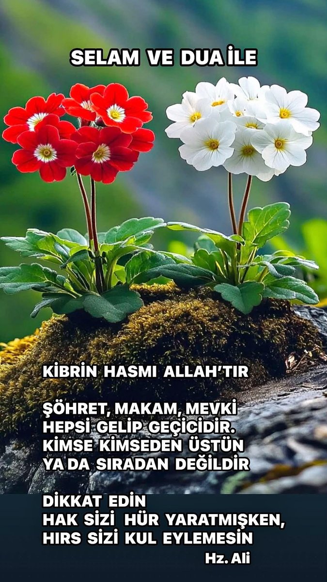 HakkNaz's tweet photo. https://t.co/v5uVK0BN5E